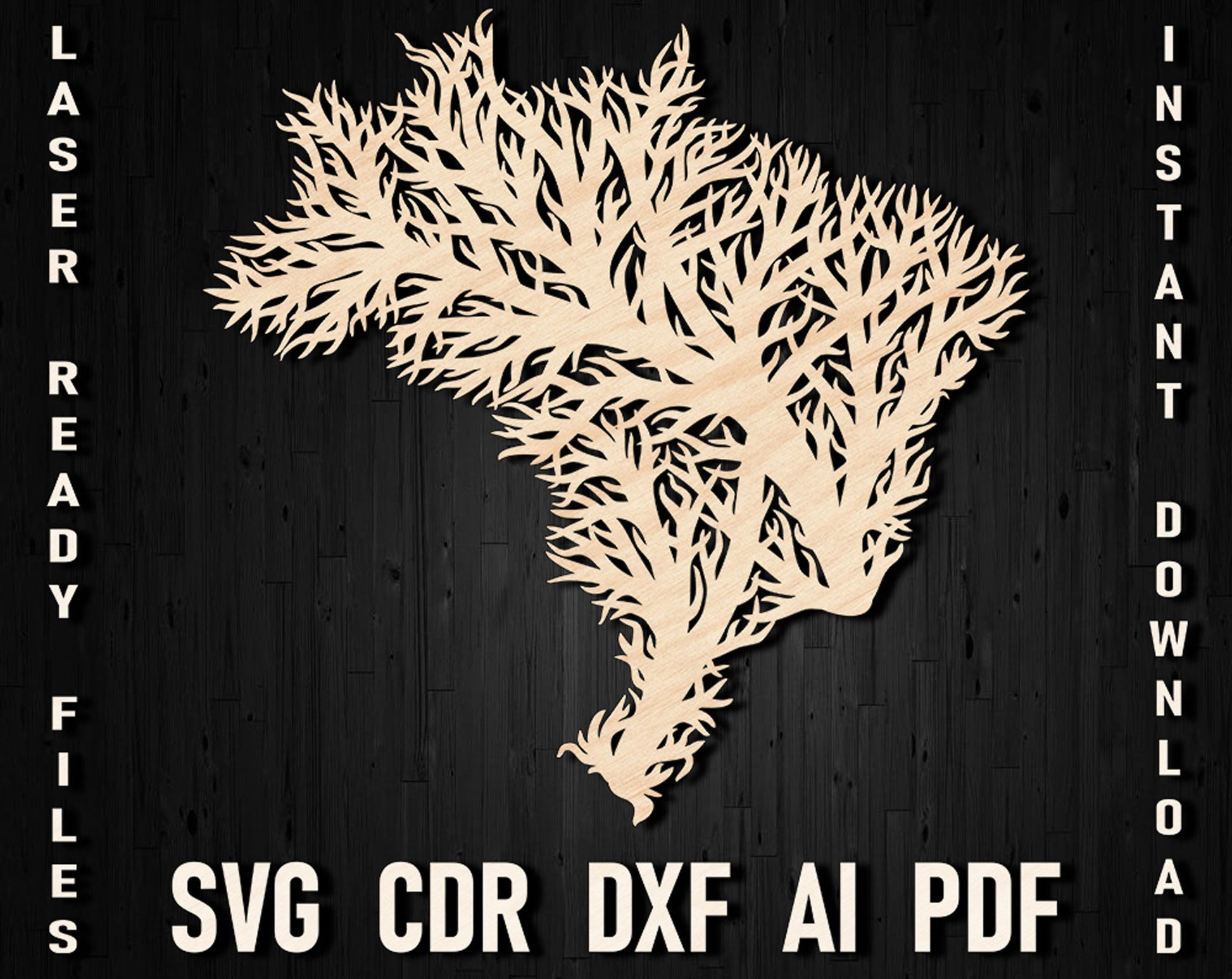 Brazilia map vector design