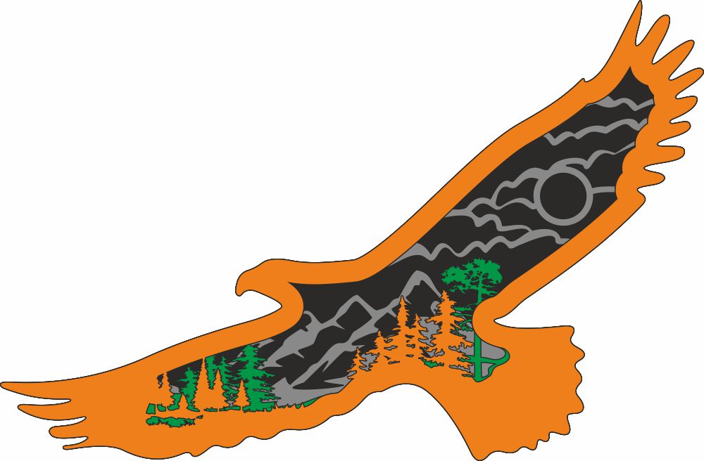 eagle wall panel svg